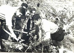 OPERATION DE REBOISSEMENT EN 1963 DU COTE DE LA SOURCE DE NOISEUX